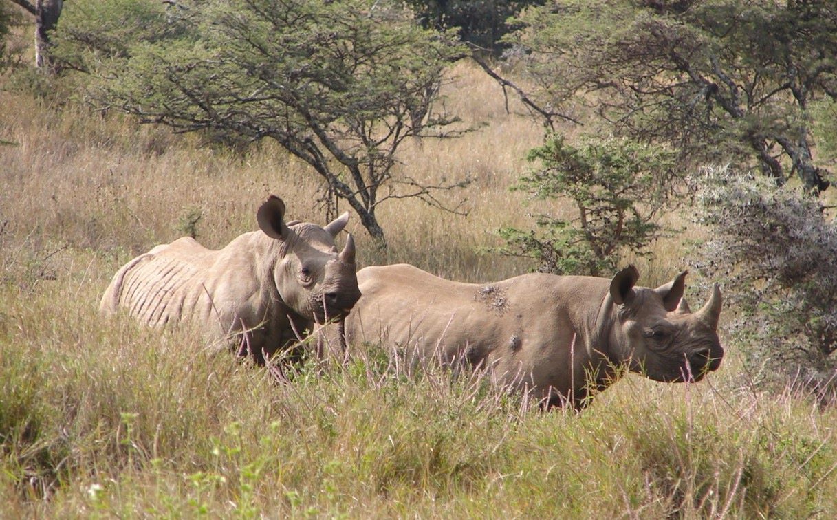 What’s Trending at One Horizon!