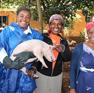 The Resilient Women of Kenya - 1 Day Signature Experience