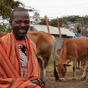 Helping the Maasai to Restock Their Herds